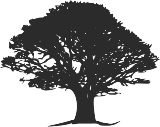 Legacy Wealth